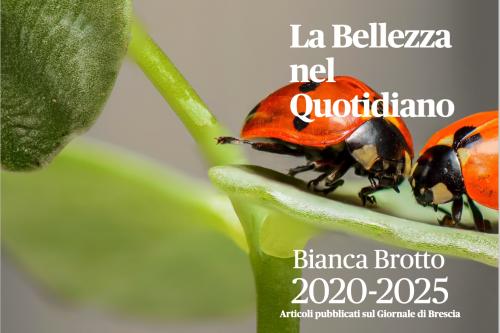 Copertina Presentazione del libro "La Bellezza nel Quotidiano 2020-2025"