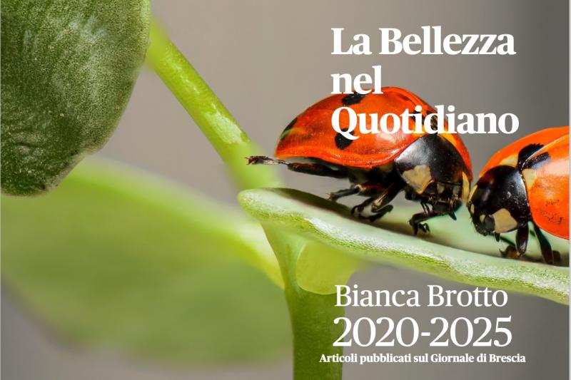 Presentazione del libro "La Bellezza nel Quotidiano 2020-2025"